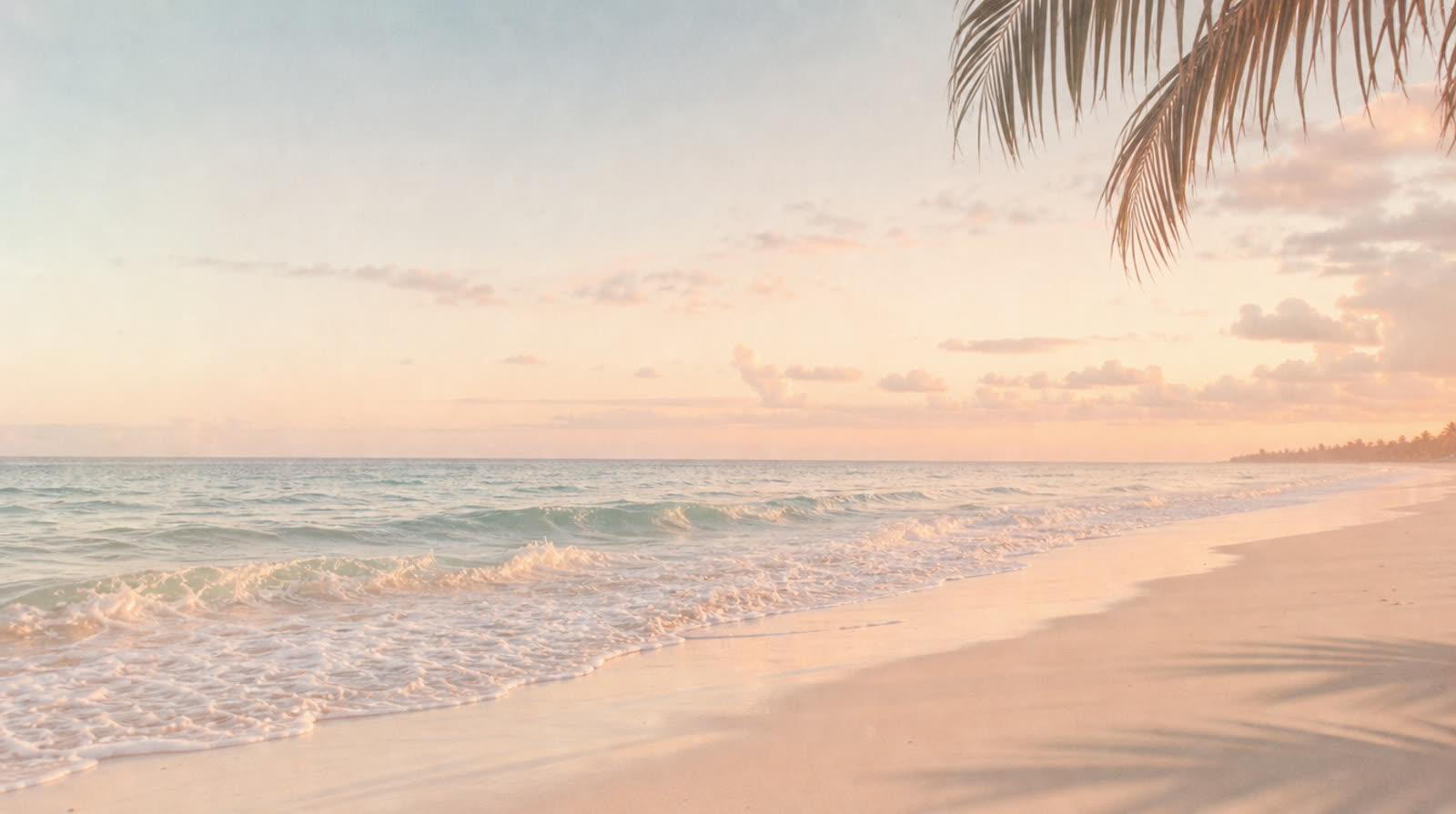 A pale sunrise over a quiet beach, the surf running up the sand beneath a palm frond